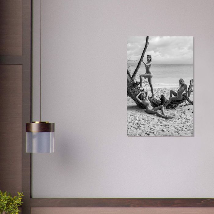 Nackte Naturschönheiten am Strand, PlumaArt - Premium Kunst Fotos und Bilder