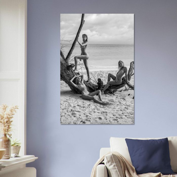 Nackte Naturschönheiten am Strand, PlumaArt - Premium Kunst Fotos und Bilder